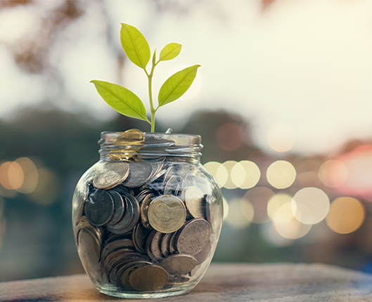 цени за счетоводни услуги