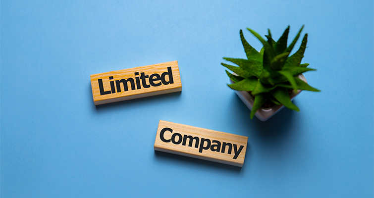 Accounting of Ltd. in Bulgaria